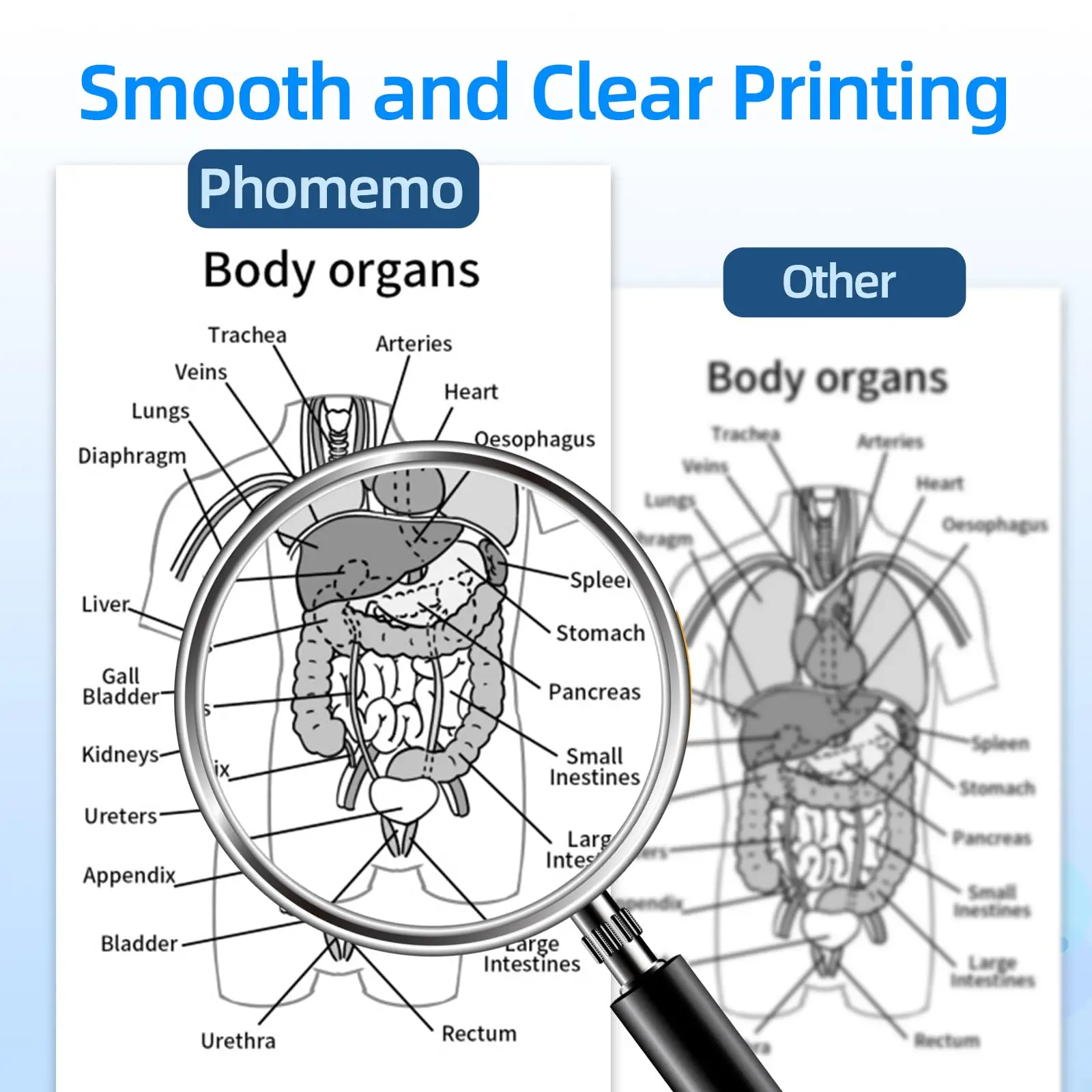 Phomemo-papel térmico para impresora, papel térmico continuo de secado rápido, tamaño de letra A4, M08F, M832, M834, M835, 50/80/110mm - Imagen 18